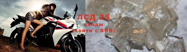 гидра Алексеевка
