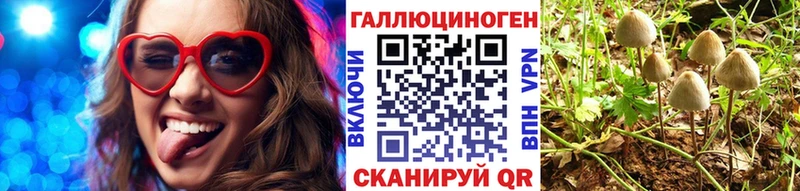 купить наркотики сайты  Алушта  Псилоцибиновые грибы Cubensis 