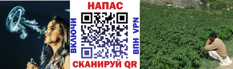 Канабис Bruce Banner  hydra   Алушта 